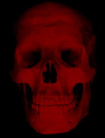 skull2.gif (7132 bytes)